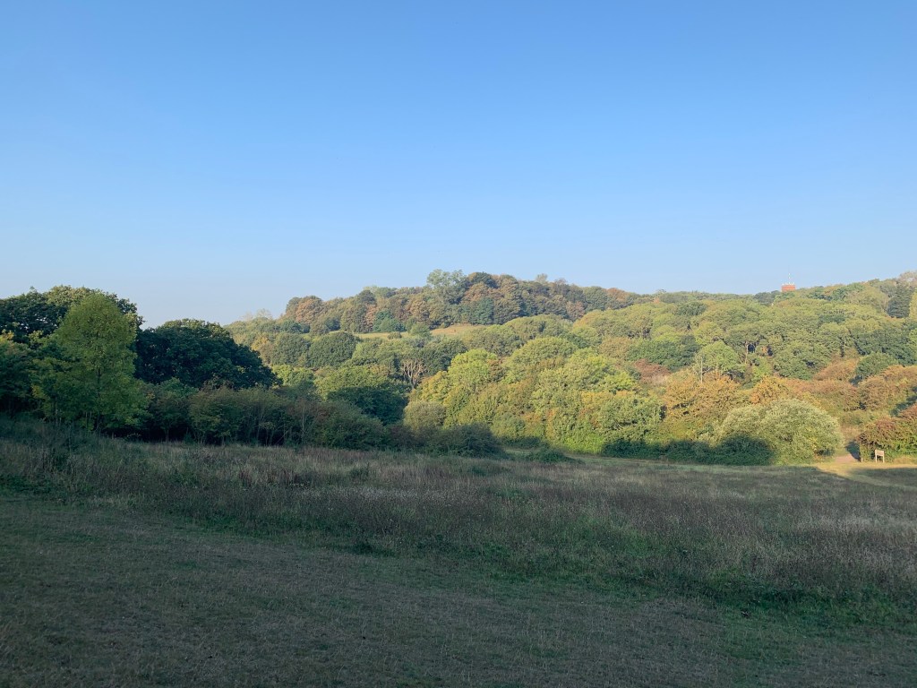 This image has an empty alt attribute; its file name is 607f345e-ff7c-4409-a375-2027776f8083_1_201_a.jpeg